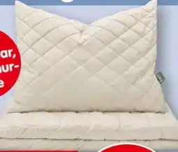 Interspar Fan Frankenstolz Polster Lama Angebot