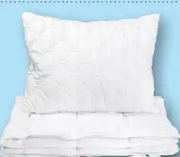 Interspar Fan Frankenstolz Polster Kansas Angebot