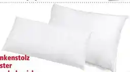 Interspar Fan Frankenstolz Polster Kuschelweich Angebot