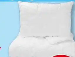 Interspar Fan Frankenstolz Polster Tencel Angebot