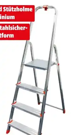 Hagebau Alu-Haushaltsleiter Angebot