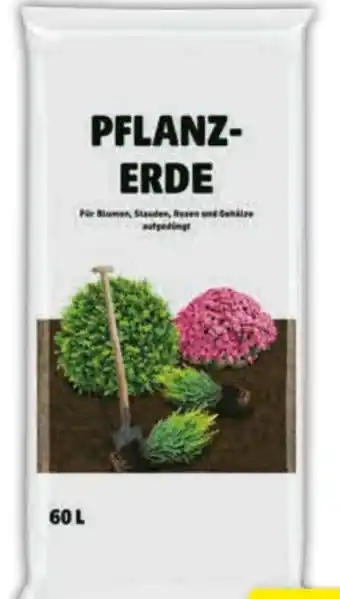 Hagebau Pflanzerde Angebot