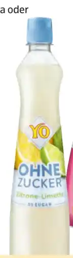 Hofer YO Sirup Angebot