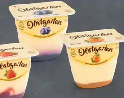 Hofer Danone Obstgarten Angebot