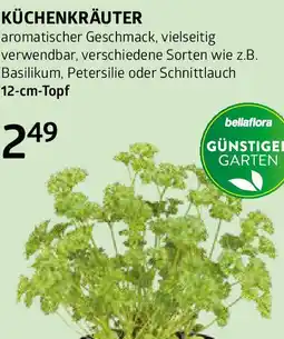 Bellaflora Küchenkräuter Angebot