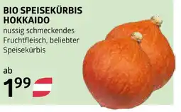 Bellaflora Bio speisekürbis hokkaido Angebot