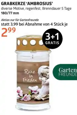 Bellaflora Grabkerze 'ambrosius' Angebot