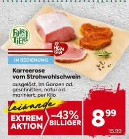 Billa Karreerose vom Strohwohlschwein Angebot