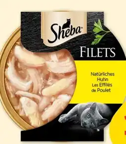 Fressnapf Sheba Schale Filets Angebot