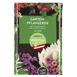 Bellaflora Gartenpflanzerde torffrei Bellaflora Angebot