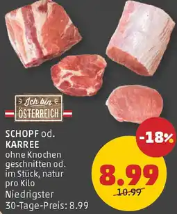 PENNY Schopf Angebot