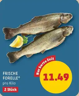 PENNY Frische forelle Angebot