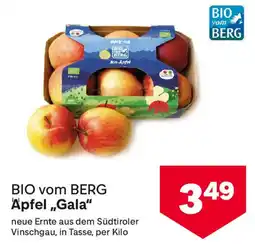MPreis BIO vom BERG Apfel Gala Angebot
