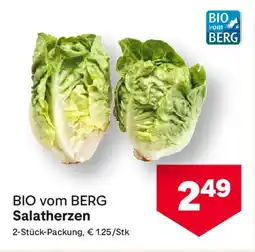 MPreis BIO vom BERG Salatherzen Angebot