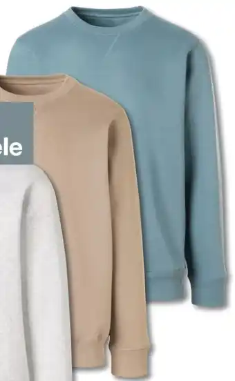 Woolworth Herren-Pullover Angebot
