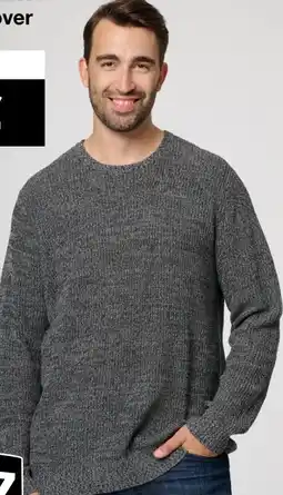 Woolworth Herren Strickpullover Angebot