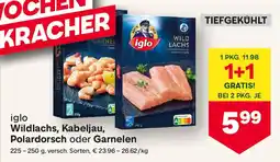 MPreis iglo Wildlachs, Kabeljau, Polardorsch oder Garnelen Angebot