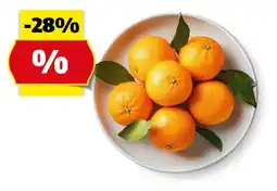Hofer HOFER MARKTPLATZ Manderinen, 750 g Angebot