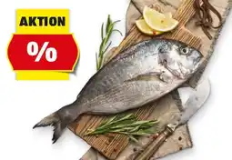 Hofer BIO BIO Dorade Angebot