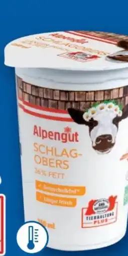 Lidl Alpengut Schlagobers Angebot