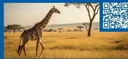 Lidl Lidl-Reisen Kenia-Safari-Baden Angebot