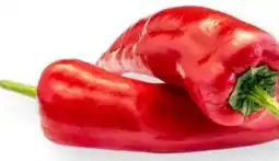 MPreis Bio-Spitzpaprika Angebot