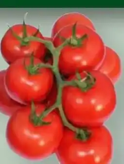 MPreis Cherrytomaten Angebot