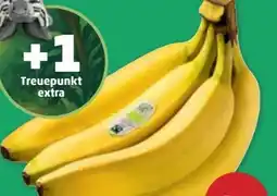 PENNY Echt Bio Bananen Angebot