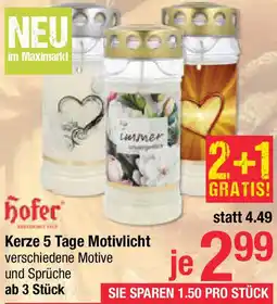 Maximarkt Kerze 5 Tage Motivlicht Angebot