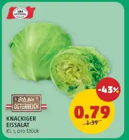 PENNY Knackiger Eissalat Angebot
