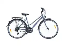 Hervis X-Fact Damen Trekkingbike Amsterdam Angebot