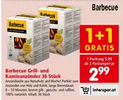 Interspar Barbecue Grill- und Kaminanzünder 36 Stück Angebot