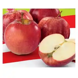 Hofer Bio-Mini Äpfel aus Österreich HOFER Angebot