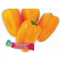 Hofer Bio-Snackpaprika Tatayoyo aus Österreich HOFER Angebot