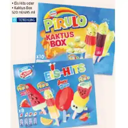 Hofer Schöller Eis Box Eis Hits oder Kaktus Box HOFER Angebot