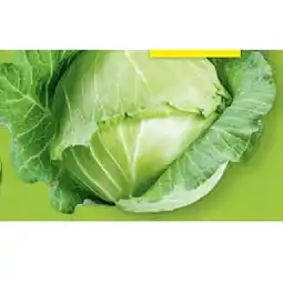Hofer Kraut aus Österreich HOFER Angebot