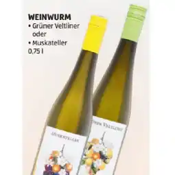 Hofer Grüner Veltliner oder Muskateller HOFER Angebot