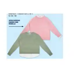 Hofer Damen-Pullover 2 in 1 versch. Farben und Modelle HOFER Angebot