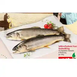 Interspar Bachsaibling INTERSPAR Angebot