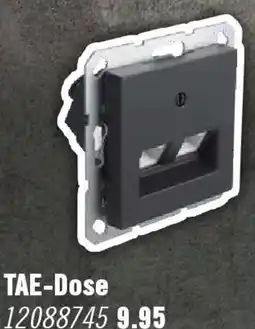 Hornbach TAE-Dose Angebot