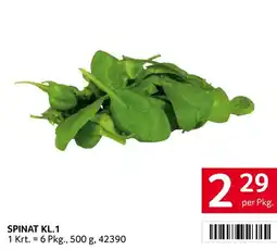 Transgourmet Spinat kl.1 Angebot