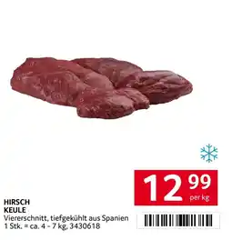 Transgourmet Hirsch keule Angebot