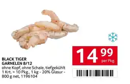 Transgourmet Black tiger garnelen 8/12 Angebot