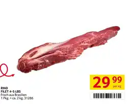 Transgourmet Rind filet Angebot