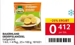 Transgourmet Bauernland erdäpfelknödel Angebot