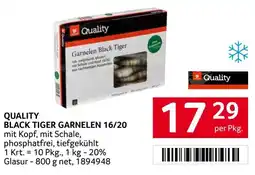 Transgourmet Quality black tiger garnelen 16/20 Angebot