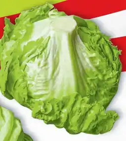 Hofer Zurück zum Ursprung Bio-Eisbergsalat Angebot