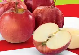 Hofer Zurück zum Ursprung Bio-Mini-Äpfel Angebot