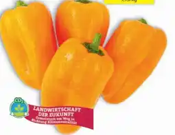 Hofer Zurück zum Ursprung Bio-Snackpaprika Tatayoyo Angebot