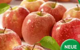 Spar Elstar Äpfel Angebot